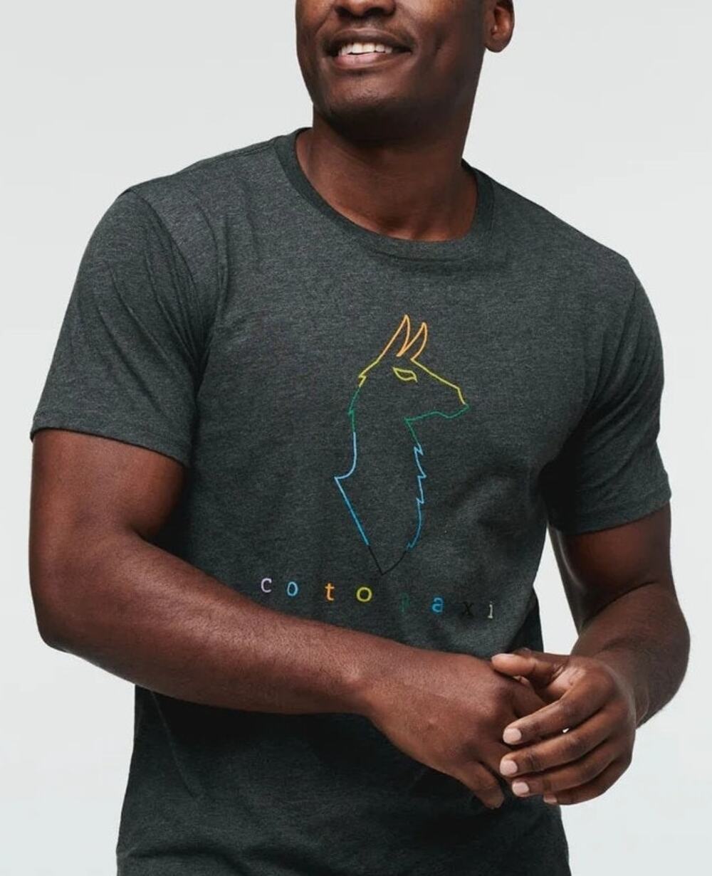 Cotopaxi Mens Graphic T-Shirt Electric Llama Size M Gray Outdoor Lounge Athletic